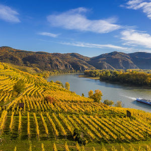 Herbstpanorama des Wachautals (Unesco-Weltkulturerbe) mit Schiff auf der Donau in der Nähe des Dorfes Weißenkirchen in Niederösterreich