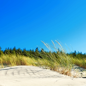 Dünen - Swinemünde