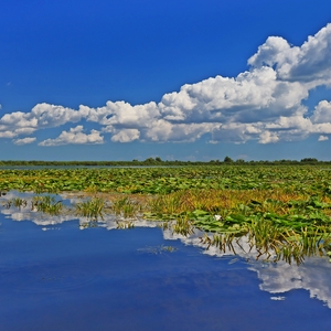 Donaudelta